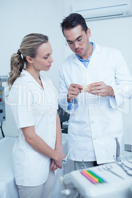 Dentists looking at mouth model