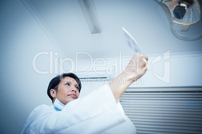 Concentrated female dentist looking at x-ray