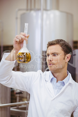 Focused scientist looking beaker with beer