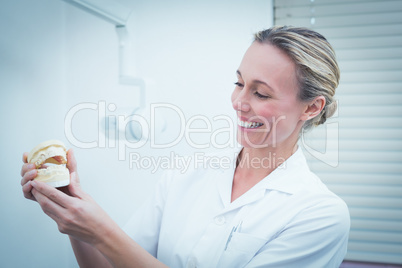 Smiling female dentist holding teeth model