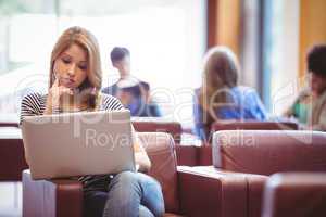 Focused student sitting on couch using laptop