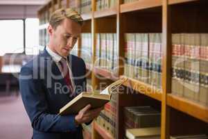 Handsome lawyer in the law library