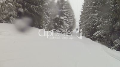 Snowboarding in the mountain forest