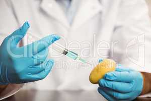 Food scientist injecting a potato