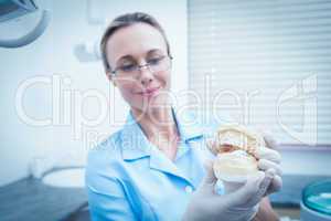 Dentist looking at mouth model