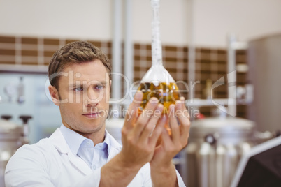 Focused scientist looking beaker with beer