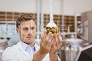 Focused scientist looking beaker with beer