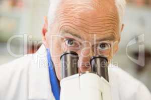 Senior scientist working with microscope