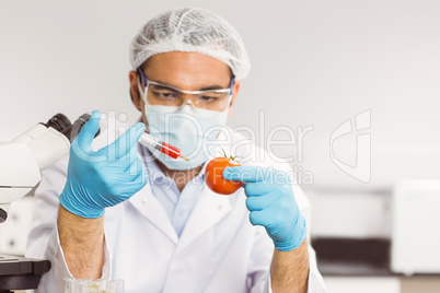 Food scientist injecting a tomato