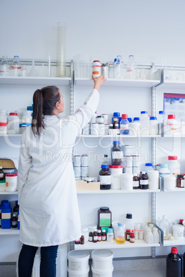 Young chemist taking container from shelf