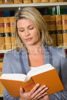 Lawyer reading book in the law library