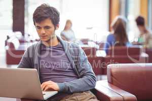 Focused young student studying on couch