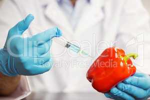 Food scientist injecting a pepper