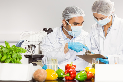 Food scientists using the microscope for research