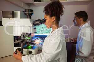 Science students working in the laboratory one looking through m