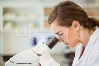 Young scientist working with microscope