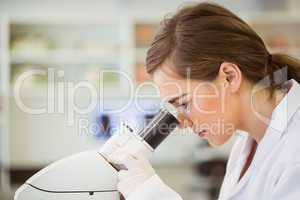 Young scientist working with microscope