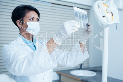 Concentrated female dentist looking at x-ray