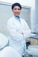 Portrait of smiling female dentist