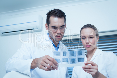 Dentists looking at x-ray