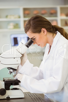 Young scientist working with microscope