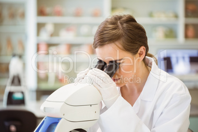 Young scientist working with microscope