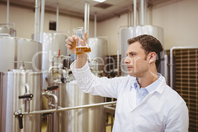 Focused brewer examining beaker with beer