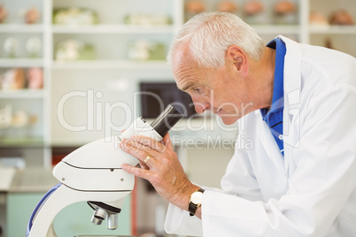 Senior scientist looking through microscope