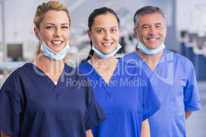Portrait of smiling co-workers standing in a line