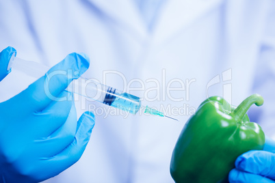 Food scientist injecting a pepper