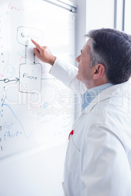 Focused scientist pointing equation on whiteboard