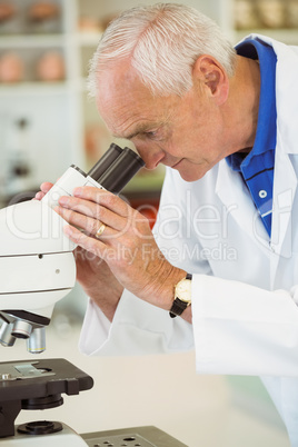 Senior scientist working with microscope