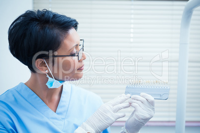 Female dentist holding teeth model