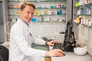 Handsome pharmacist using the computer