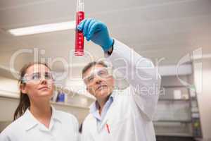 Pharmacists looking at beaker of red liquid