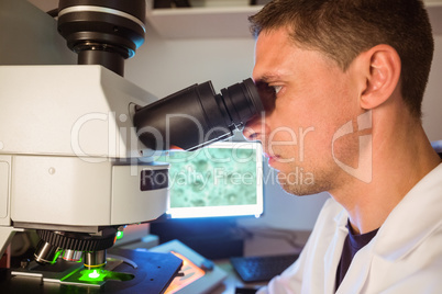 Science students looking through microscope