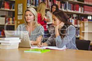 Focused students on laptop with classmates behind them