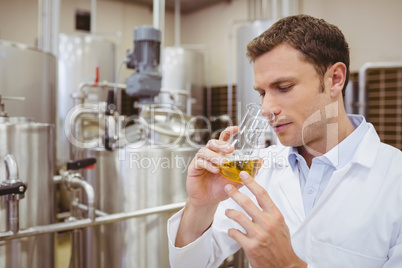 Focused brewer smelling beaker with beer