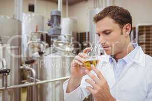 Focused brewer smelling beaker with beer