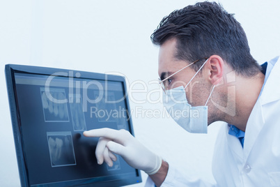 Dentist looking at x-ray on computer