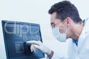 Dentist looking at x-ray on computer