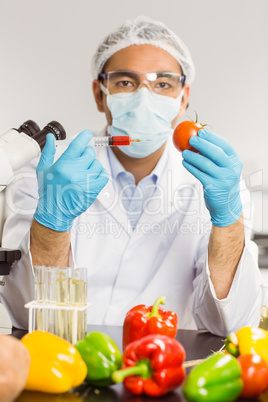 Food scientist injecting a tomato