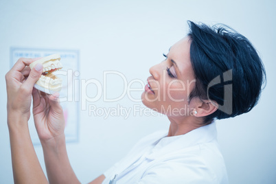 Female dentist looking at mouth model