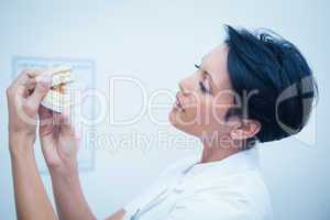 Female dentist looking at mouth model