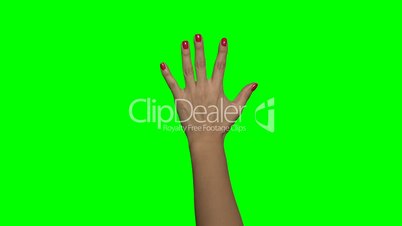 Greenscreen Hand Frau (4:2:2, 30p)