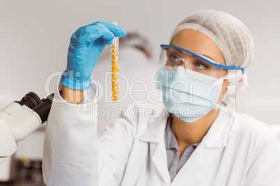 Food scientist holding test tube of corn