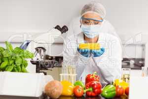 Food scientist looking at corn cob