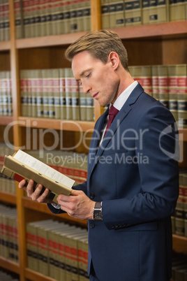 Handsome lawyer in the law library