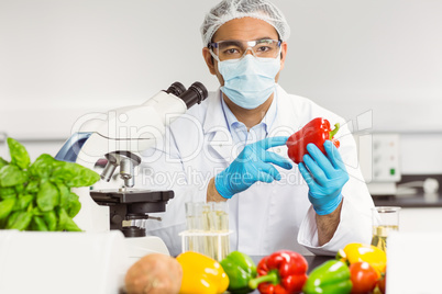 Food scientist examining a pepper