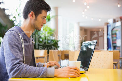 Young student using his laptop in cafe